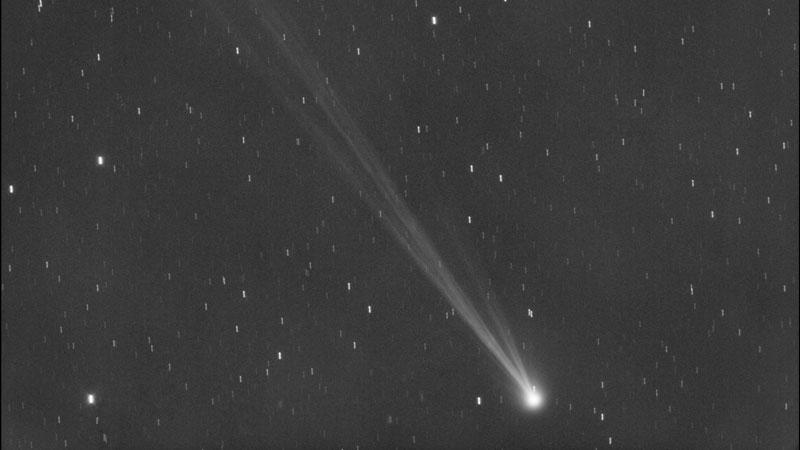 Солнечная вспышка оторвала хвост пролетающей мимо кометы — вскоре он вырос снова