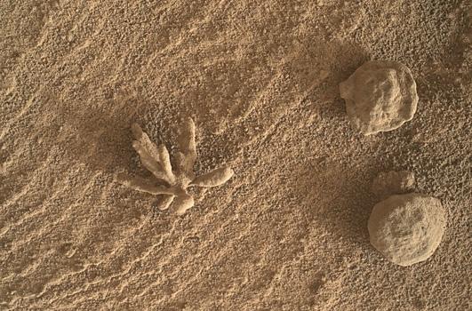 NASA столкнулась с проблемами при выполнении миссии по возврату образцов с Марса