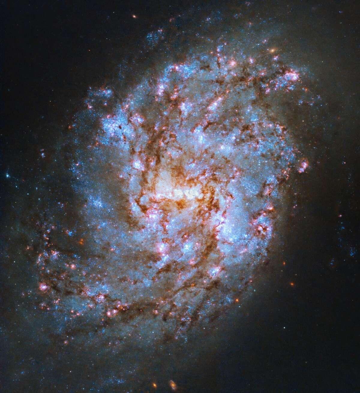 «Хаббл» прислал снимок звездной галактики в созвездии Кита